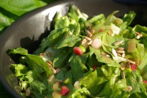 rhubarb-salad-777052_640