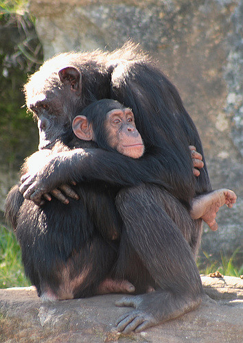 902659773_a49809aeb5_z