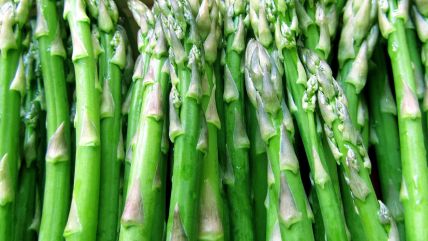 asparagus