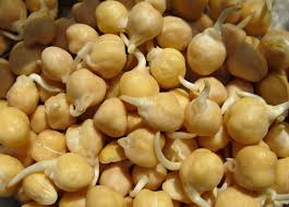 chickpeas